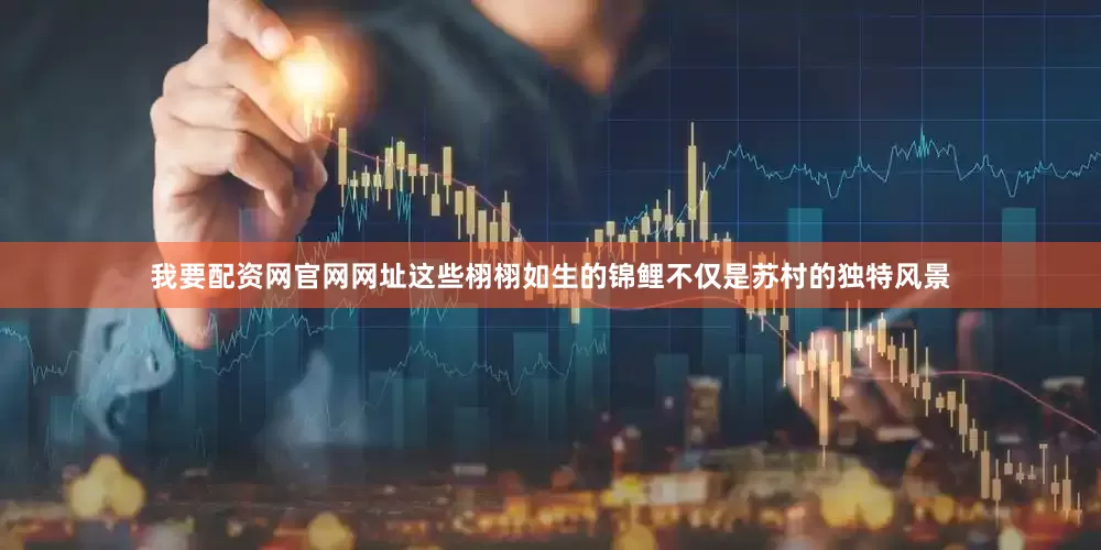我要配资网官网网址这些栩栩如生的锦鲤不仅是苏村的独特风景