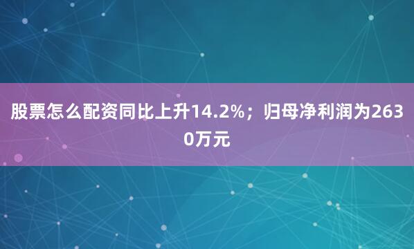 股票怎么配资同比上升14.2%；归母净利润为2630万元