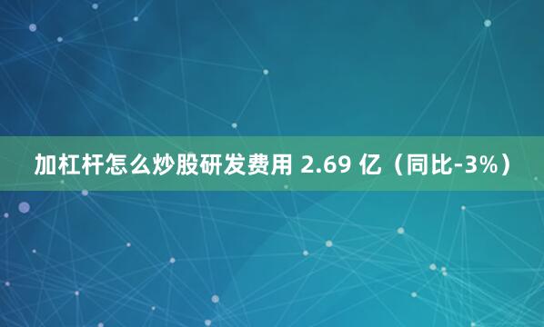 加杠杆怎么炒股研发费用 2.69 亿（同比-3%）