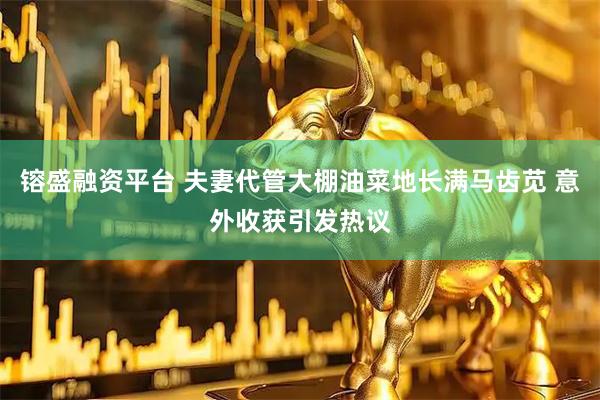 镕盛融资平台 夫妻代管大棚油菜地长满马齿苋 意外收获引发热议