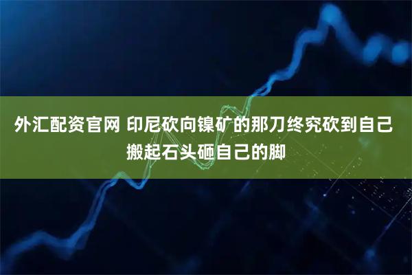 外汇配资官网 印尼砍向镍矿的那刀终究砍到自己 搬起石头砸自己的脚